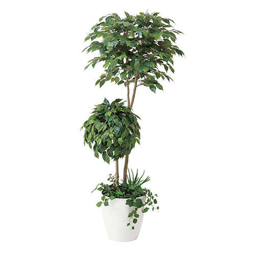 アートグリーン 人工観葉植物 光触媒 光の楽園 ベンジャミンダブルフェイス植栽付1.8｜RUSH PLAZA（ラッシュプラザ）