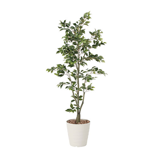 アートグリーン 人工観葉植物 光触媒 光の楽園 フィカスツリー1.8｜RUSH PLAZA（ラッシュプラザ）