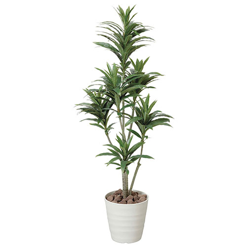 アートグリーン 人工観葉植物 光触媒 光の楽園 ドラセナコンパクタ 1.25｜RUSH PLAZA（ラッシュプラザ）
