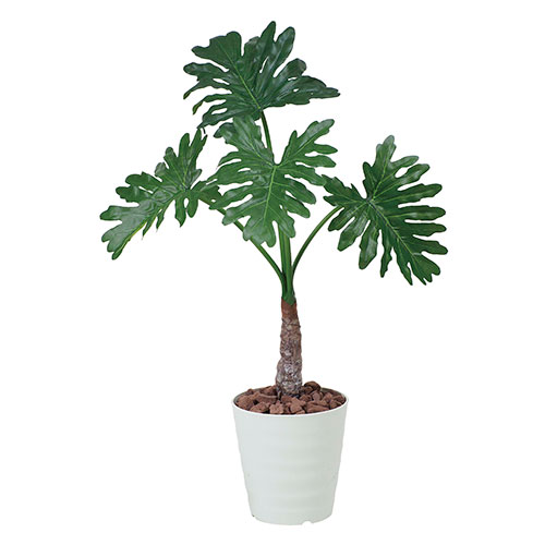 アートグリーン 人工観葉植物 光触媒 光の楽園 セロ&minus;ムフィロ1.0｜RUSH PLAZA（ラッシュプラザ）