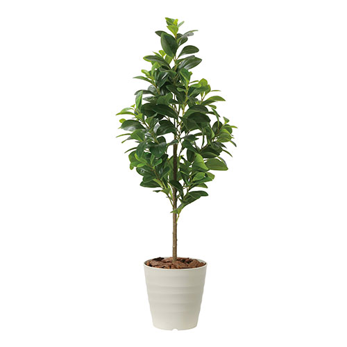 アートグリーン 人工観葉植物 光触媒 光の楽園 フレッシュマネーツリー1.15｜RUSH PLAZA（ラッシュプラザ）
