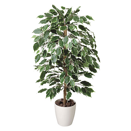 アートグリーン 人工観葉植物 光触媒 光の楽園 ゴールデンフィカス1.0|RUSH PLAZA(ラッシュプラザ)