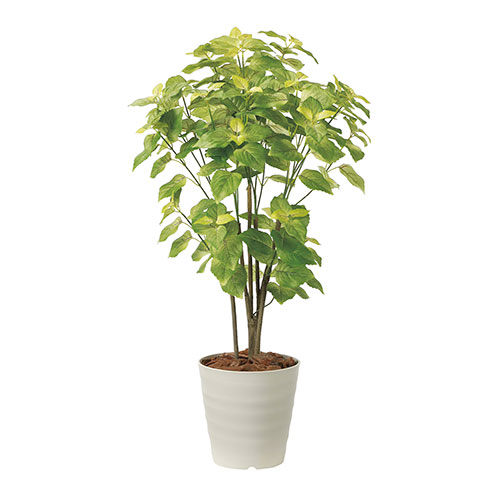 アートグリーン 人工観葉植物 光触媒 光の楽園 ペリーラ1.0|RUSH PLAZA(ラッシュプラザ)