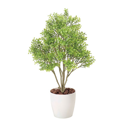 アートグリーン 人工観葉植物 光触媒 光の楽園 ボックスウッド｜RUSH PLAZA（ラッシュプラザ）