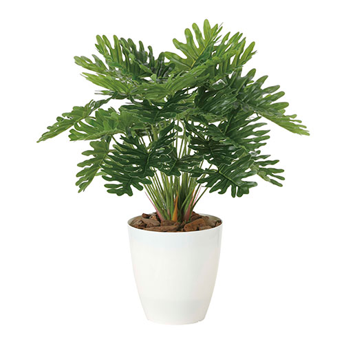 アートグリーン 人工観葉植物 光触媒 光の楽園 フレッシュクッカバラM