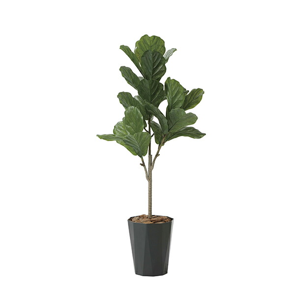 アートグリーン 人工観葉植物 光触媒 光の楽園 カシワバゴム1.3(ポリ製)