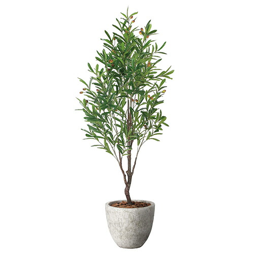 アートグリーン 人工観葉植物 光触媒 光の楽園 ナチュラルオリーブ1.6｜RUSH PLAZA（ラッシュプラザ）