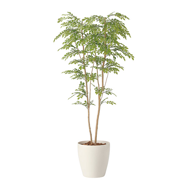 アートグリーン 人工観葉植物 光触媒 光の楽園 ライトトネリコ1.8|RUSH PLAZA(ラッシュプラザ)