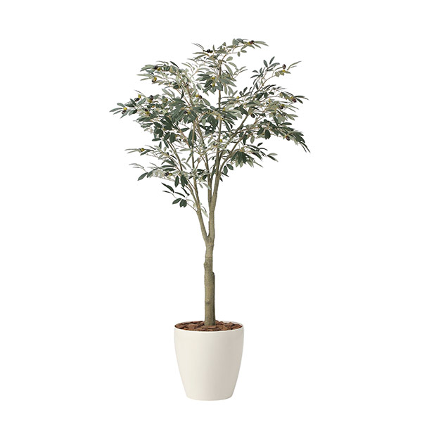 アートグリーン 人工観葉植物 光触媒 光の楽園 オリーブツリー1.85(組立式)｜RUSH PLAZA（ラッシュプラザ）