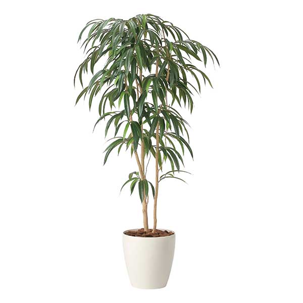 アートグリーン 人工観葉植物 光触媒 光の楽園 ショウナンゴム1.6｜RUSH PLAZA（ラッシュプラザ）