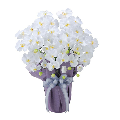 工芸緑であること 人工観葉草木 光触媒 光のエデンの園 夢見鳥蘭 藤