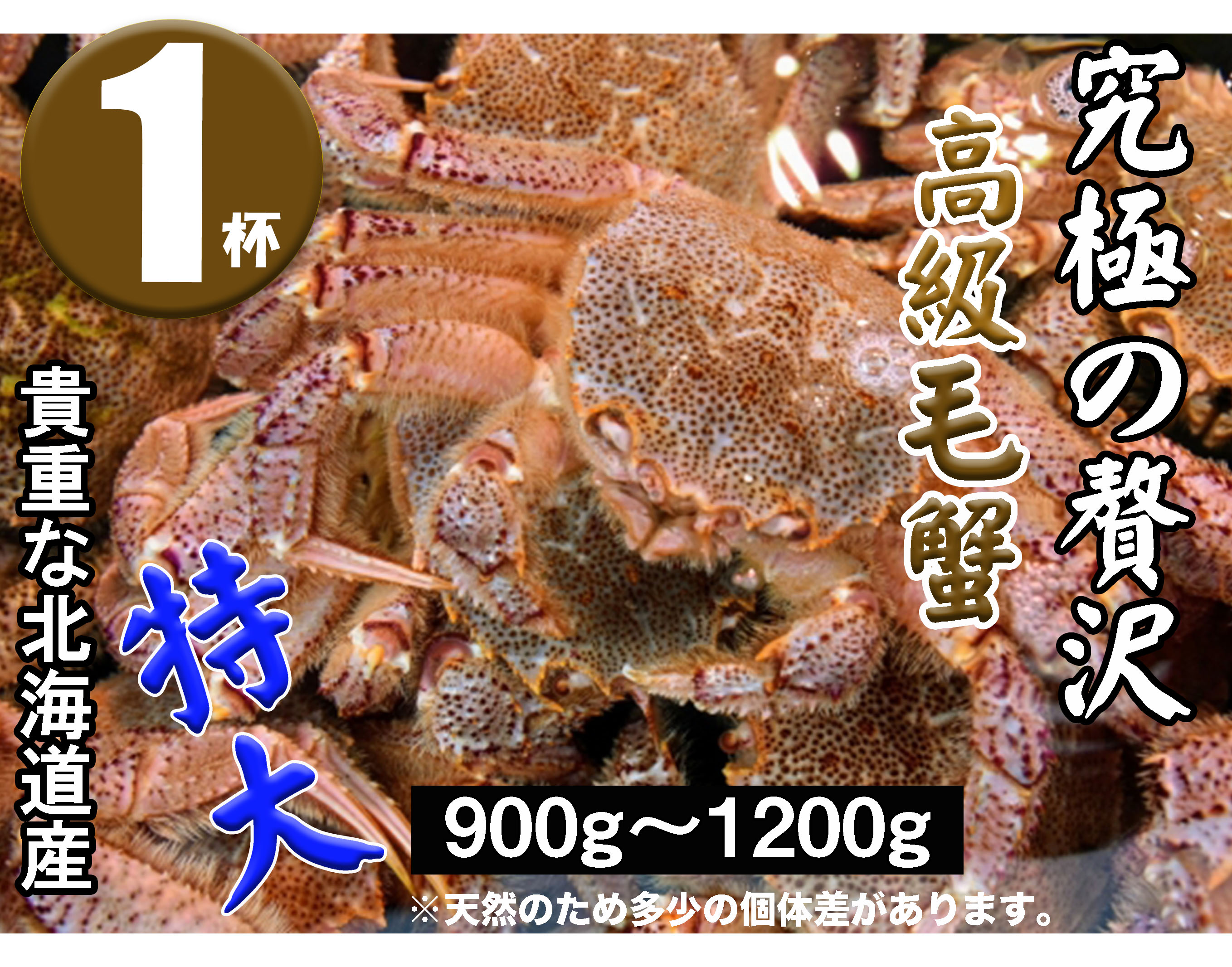 産地直送 北海道直送 ズワイガニ 北海道産 紅ずわい蟹冷凍 かに ずわい蟹 蟹 5kg 2箱 紅ズワイセクションb品 カニ