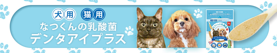 楽天市場】犬 サプリ 猫 腎臓 乳酸菌 なつくんの乳酸菌 サポートプラス