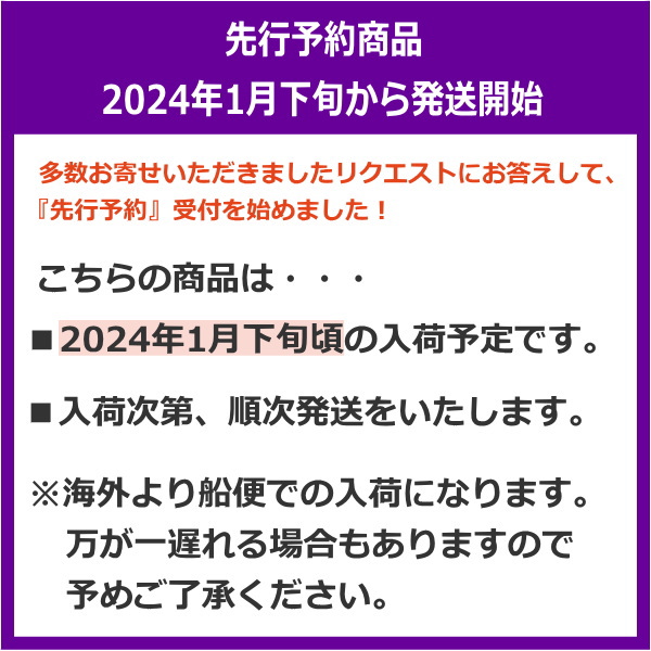 ペーパーコード チーク無垢材 ローチェア 木製 椅子 チェア リラックス