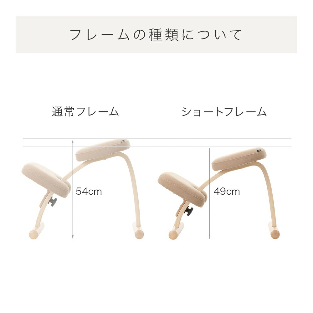 バランスラボバランスチェア・イージー(再生A品)