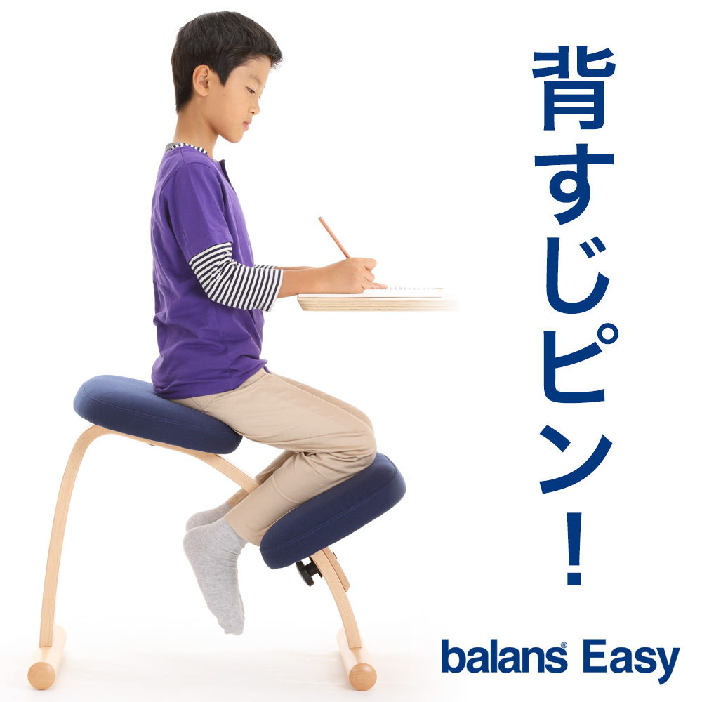 姿勢 サカモトハウス Balans Easy バランスチェア・イージー - 椅子/チェア