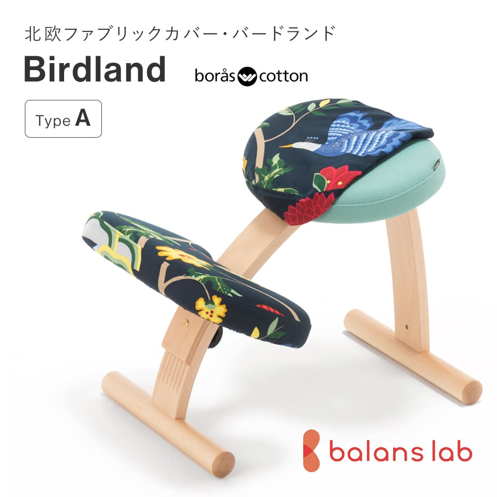 バランスチェアー・イージー バランスラボ バランスチェア バランスチェアー バランス