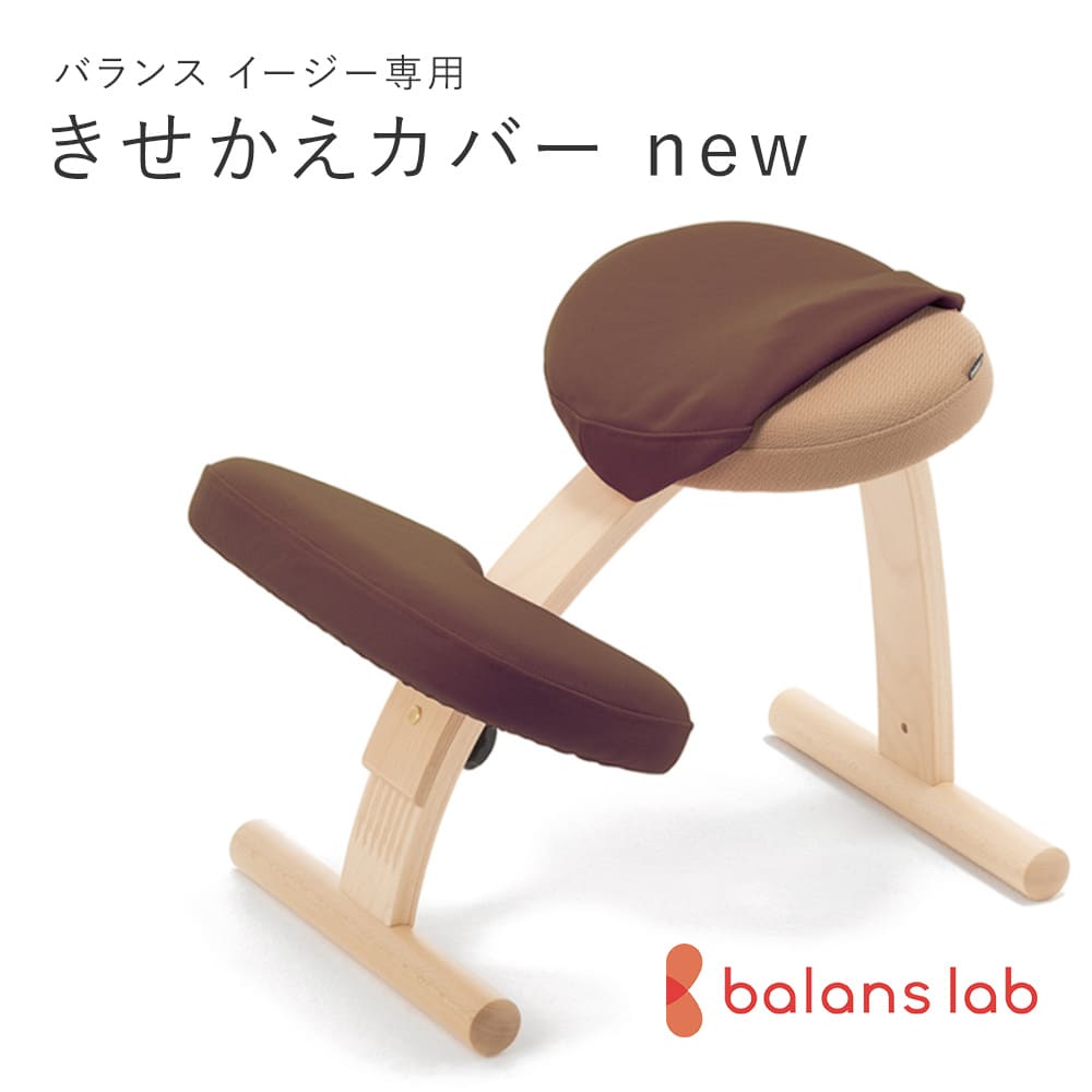 ANNAK　サカモトハウス　バランスチェアイージー　ピンク&水色カバー付 ANNAK サカモトハウス バランスチェアイージー ピンク&水色