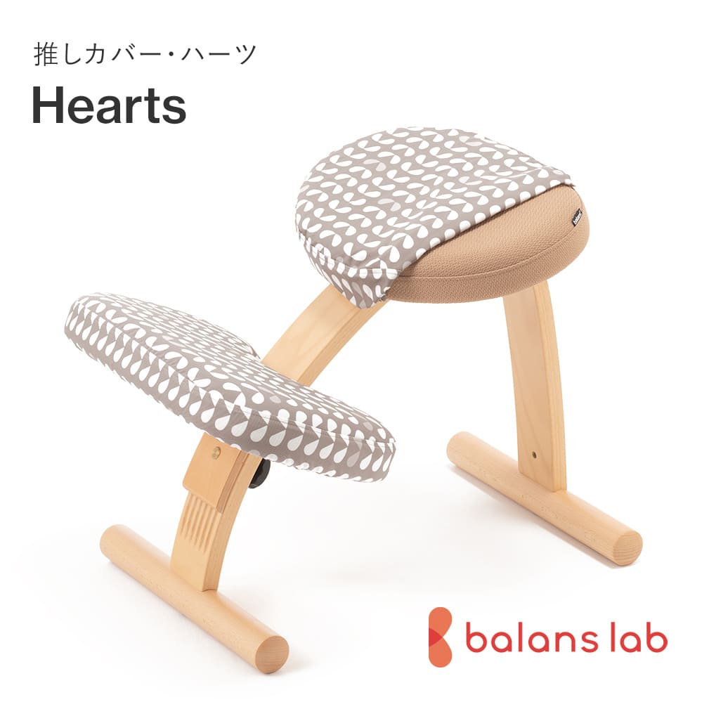 バランスイージー　カバー付き バランス イージー専用｜きせかえカバーnew バランスラボ