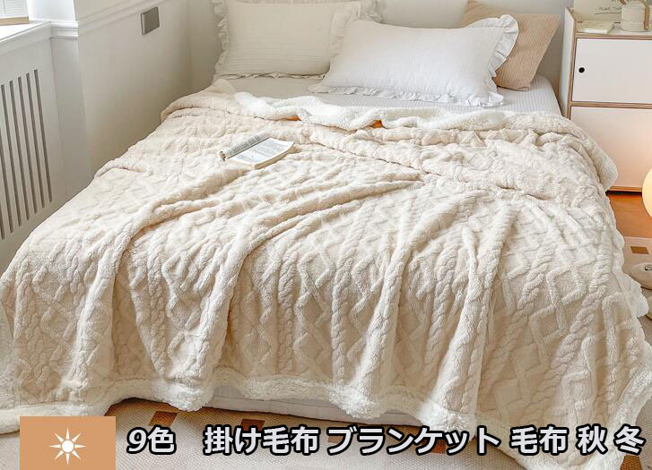 箱入り　ロイヤルソフト　ブランケット　毛布 布団/毛布 寝具 インテリア・住まい・小物 大特価SALE