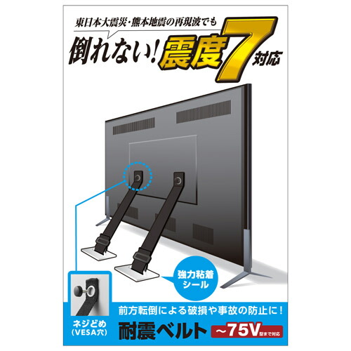 エレコム TV用耐震ベルト 〜75V用 ネジどめタイプ(VESA穴) 2本入 ASNTS-006N|パソコン オフィス用品 耐震グッズ