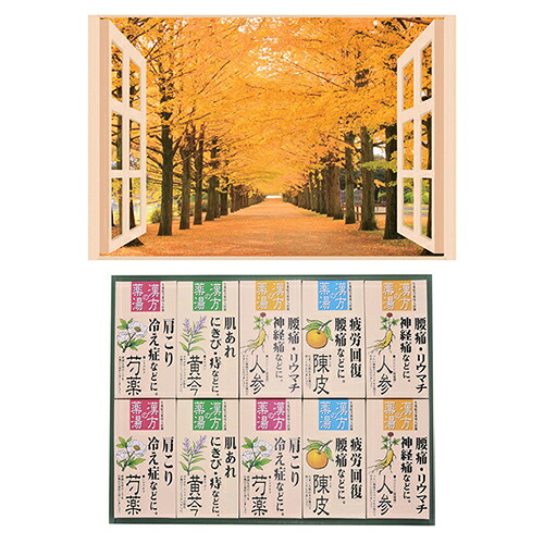 昭プラ お風呂のポスター 四季彩 銀杏並木 + 薬用入浴剤ギフトセット ASNB6133529+8095653|雑貨・ホビー・インテリア 雑貨 雑貨品【代引き決済不可】【日時指定不可】