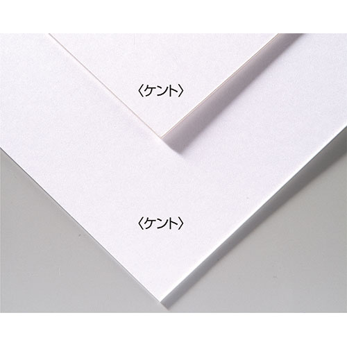 【20個セット】 ARTEC A&Bオリジナルアートボード B4ケント ASNATC143305X20|雑貨・ホビー・インテリア 雑貨 雑貨品