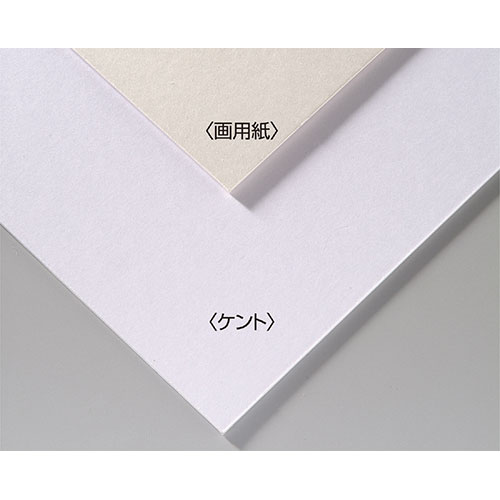 【20個セット】 ARTEC A&Bオリジナルアートボード B4画用紙 ASNATC143303X20|雑貨・ホビー・インテリア 雑貨 雑貨品