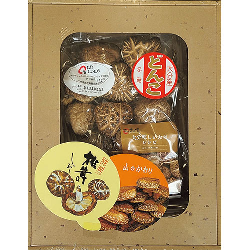 【10セット】 マルトモ物産 大分産どんこ椎茸 62g 【大分産 どんこ/62g】 ASNFUJI-610369686X10|食品 食品