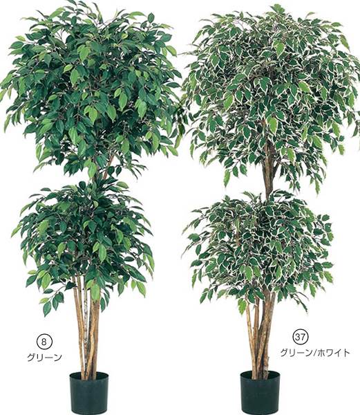 150cm フィカスダブルレイヤーツリー(ナチュラルトランク) 光触媒スプレープレゼント[ONSLETR7572] 代引決済不可 送料無料|人工観葉植物 大型 アートフラワー 造花 フェイクグリーン 植木 装飾 飾付 イベント パーティー 店舗装飾 ディスプレイ 飾り付け インテリア おしゃれ｜緑花堂ストア