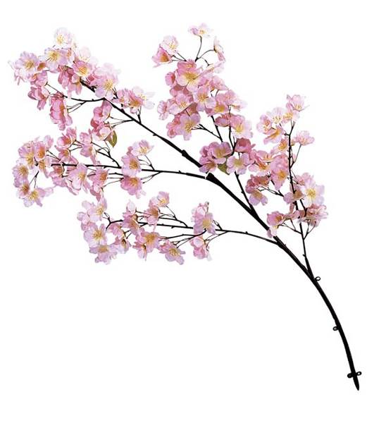 楽天市場 桜 造花 桜の大枝 105cm 12本入 桜 枝 さくら 木 造花 桜の花 桜の枝 M 3842 ディスプレイ 撮影 シルクフラワーの山久