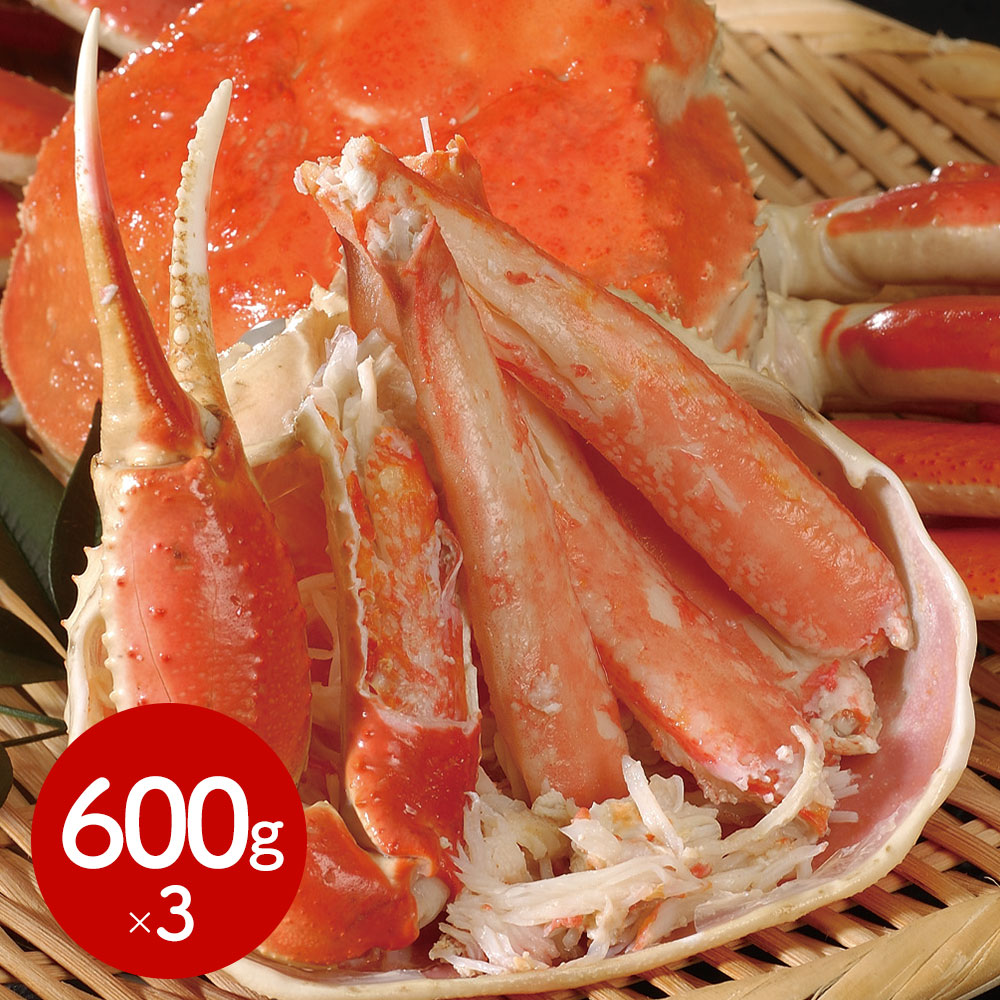 カナダ東海岸で捕れたずわいがに。 ボイルずわいがに姿 600ｇ×3杯[SHS3440625]