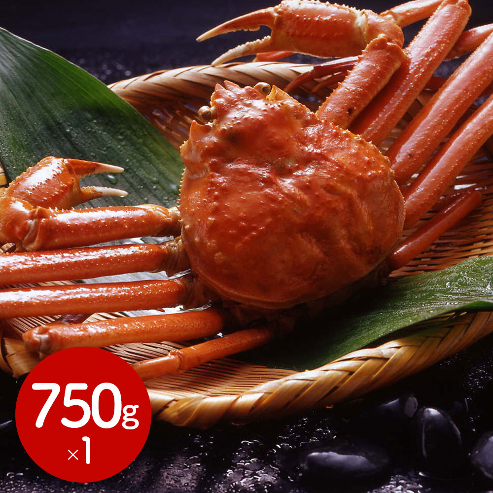 厳しい大自然に囲まれたカナダが贈る本場の味。 ボイルずわいがに姿 750g×1杯[SHS3440631]