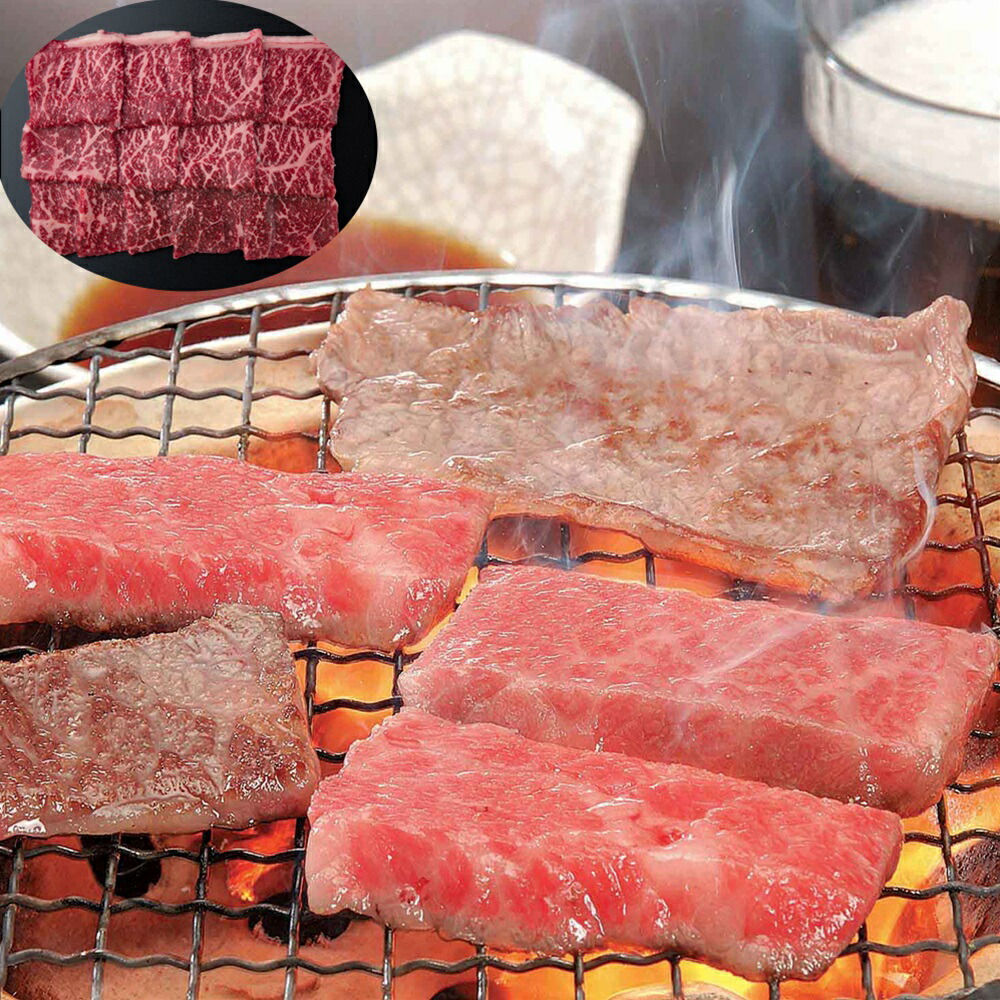 セール開催中最短即日発送 飛騨牛焼肉 SHS3950254 精肉 肉加工品 牛肉 焼肉 詰め合わせ 誕生日 お中元 母の日 お見舞品 お歳暮  fucoa.cl