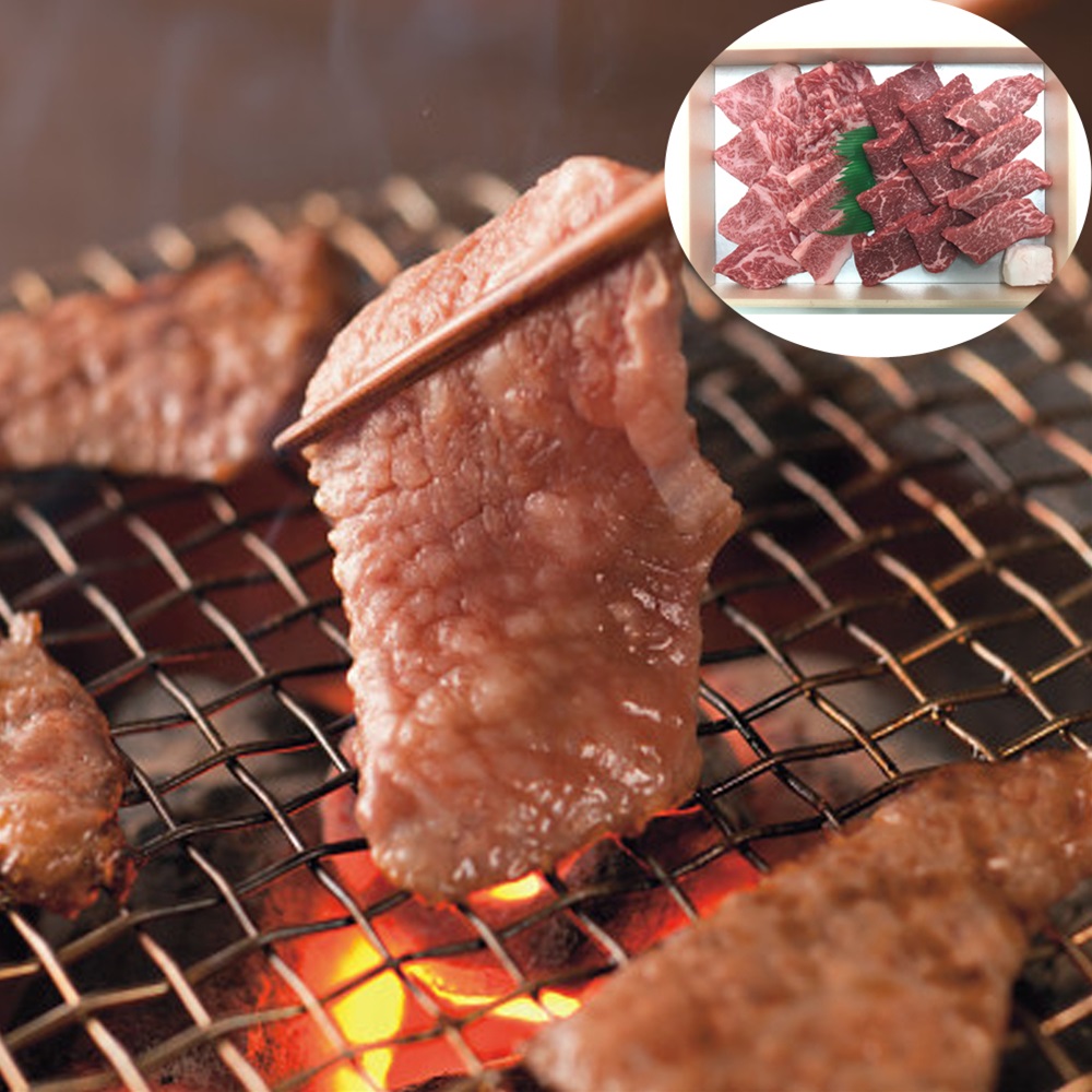 佐賀牛 網焼焼肉 SHS790167