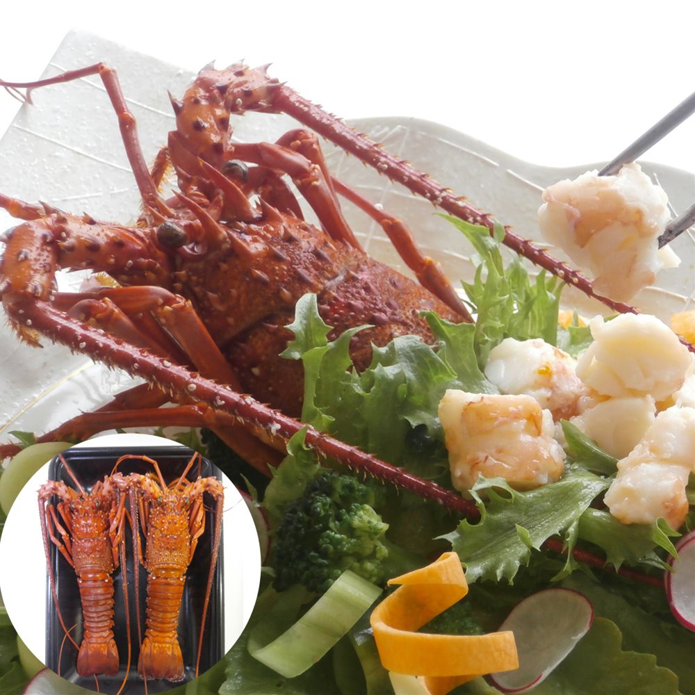 68 以上節約 伊勢海老の塩蒸し 徳島 吟月 Shs 魚介類 水産加工品 伊勢海老 お歳暮 父の日 お中元 Fucoa Cl