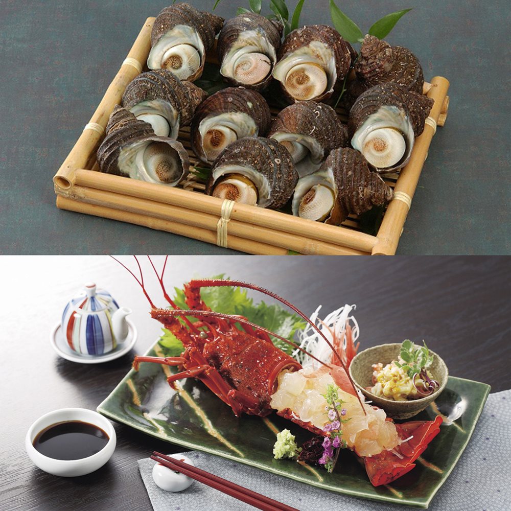 天然伊勢海老と天然サザエ詰合せ 徳島 SHS2940112 |魚介類 水産加工品 伊勢海老 お歳暮 父の日 お中元｜緑花堂ストア 8,939円