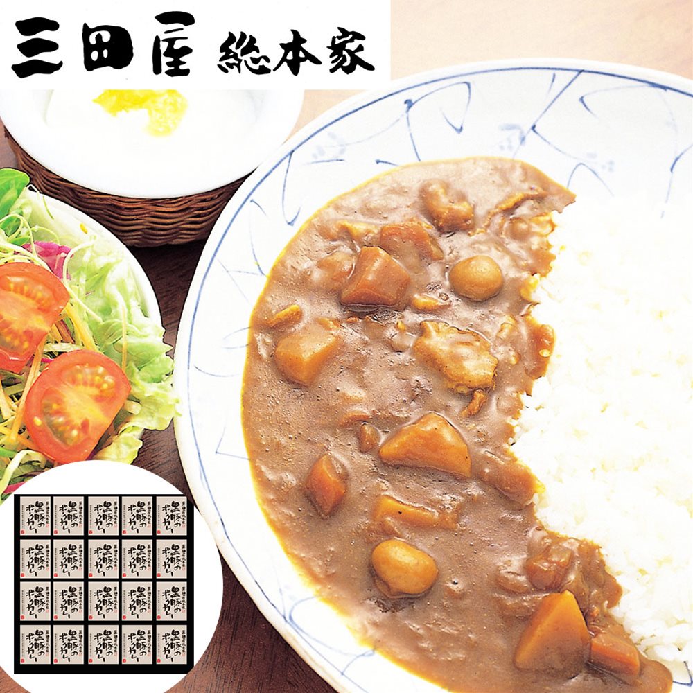 黒豚のポークカレー20食 三田屋総本家 SHS4560009 |惣菜 カレー お中元 お歳暮 母の日