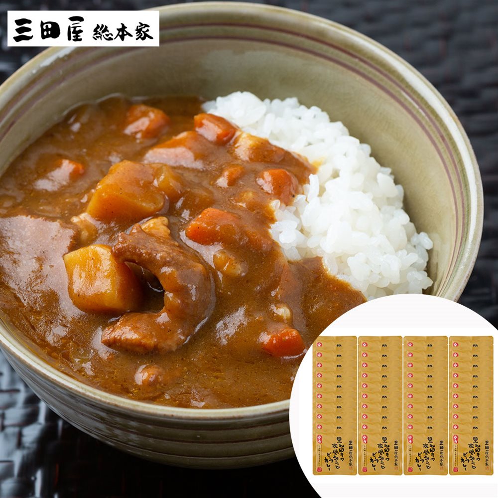 黒毛和牛の欧風ちょこっとビーフカレー中辛（40食） 三田屋総本家 SHS4560045 |惣菜 カレー お中元 お歳暮 母の日｜緑花堂ストア