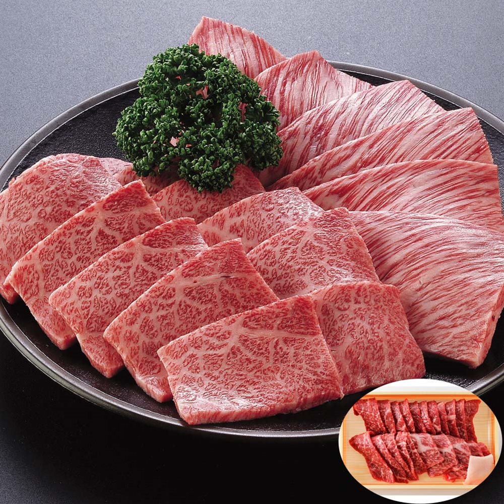 焼肉 神奈川 相模牛SHS5380053 牛肉 肉加工品 お中元 父の日 特産品 新年の贈り物