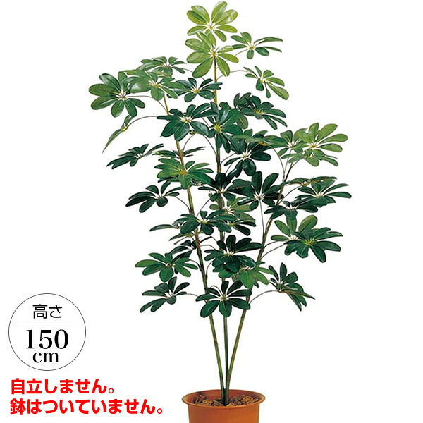 150cm カポックツリー 光触媒スプレープレゼント [ONSLETR7205] 代引決済不可 送料無料 |人工観葉植物 大型 アートフラワー 造花 フェイクグリーン 植木 装飾 飾付 イベント パーティー 店舗装飾 ディスプレイ 飾り付け インテリア おしゃれ カポック ツリー｜緑花堂ストア