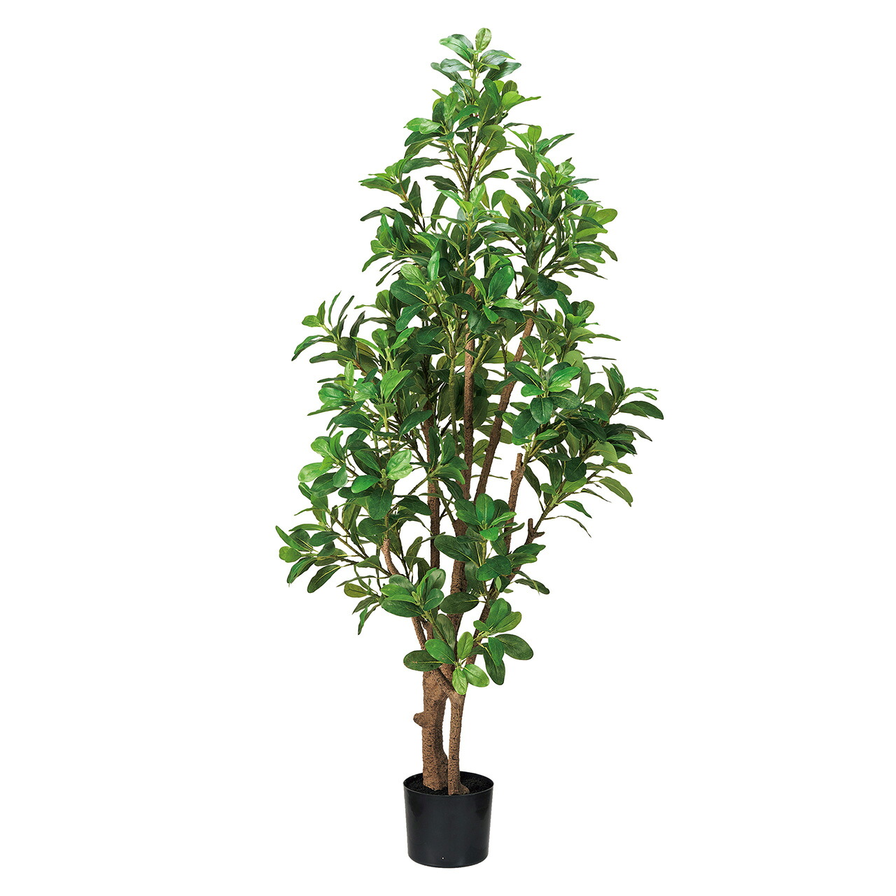 造花 トベラジョイントポット ＧＲＥＥＮ 1鉢[TDLFG001330]|アーティフィシャルフラワー インテリアグリーン 観葉樹木【フェイクグリーン 人工観葉植物 ギフトアレンジ インテリア装飾 ディスプレイ インテリアフラワー 】｜緑花堂ストア