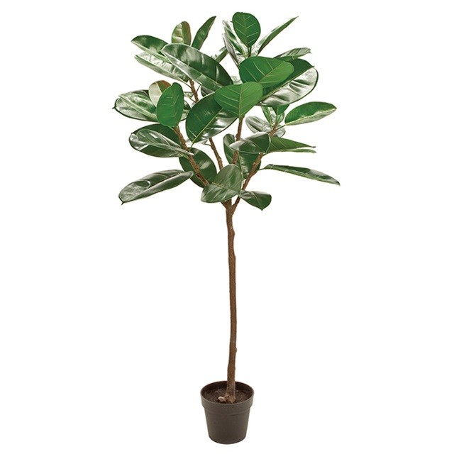 デコラゴムポット 造花 インテリアグリーン 観葉樹木 Tdlfg 代引決済不可 人工観葉植物 フェイクグリーン 人工樹木 インテリア 格好のいい 店舗装飾 ディスプレイ 室内装飾 飾り付け 装飾 飾付 飾り 大型 鉢物 新築祝い 開店祝い Almarkhiyagallery Com