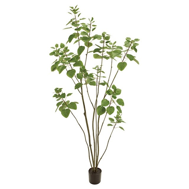 Ｗ５５ＸＨ１６０ｃｍ スモークツリーポット５Ｆ ＧＲＥＥＮ 造花 インテリアグリーン 観葉樹木 [TDLFG005770] 代引決済不可|人工観葉植物 フェイクグリーン 人工樹木 インテリア おしゃれ 店舗装飾 ディスプレイ 室内装飾 飾り付け 装飾 飾付 飾り 大型 鉢物 開店祝い｜緑花堂ストア