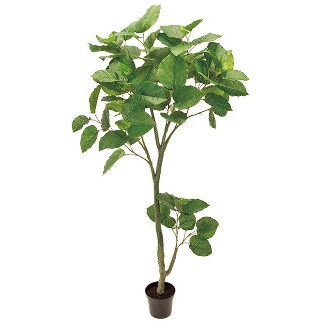 Ｗ１１０ＸＨ１８０ｃｍ ウンべラータ ＧＲＥＥＮ 造花 インテリアグリーン 観葉樹木 [TDLFG016500] 代引決済不可|人工観葉植物 フェイクグリーン 人工樹木 インテリア おしゃれ 店舗装飾 ディスプレイ 室内装飾 飾り付け 装飾 飾付 飾り 大型 鉢物｜緑花堂ストア