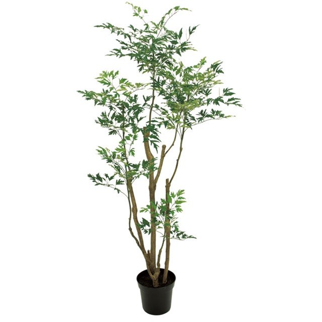 ポリシャスフルティコサ 造花 インテリアグリーン 観葉樹木 Tdlfg 代引決済不可 人工観葉植物 フェイクグリーン 人工樹木 インテリア おしゃれ 店舗装飾 ディスプレイ 室内装飾 飾り付け 装飾 飾付 飾り 大型 鉢物 Consyrsa Com