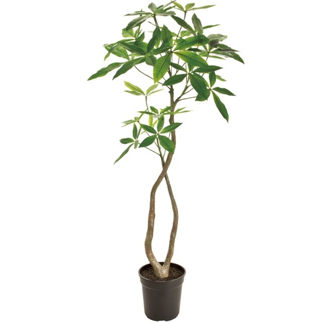 Ｗ６０ＸＨ１２０ｃｍ パキラ　４Ｆ ＧＲＥＥＮ 造花 インテリアグリーン 観葉樹木 [TDLFG022000] 代引決済不可|人工観葉植物 フェイクグリーン 人工樹木 インテリア おしゃれ 店舗装飾 ディスプレイ 室内装飾 飾り付け 装飾 飾付 飾り 大型 鉢物 新築祝い 開店祝い ギフト｜緑花堂ストア