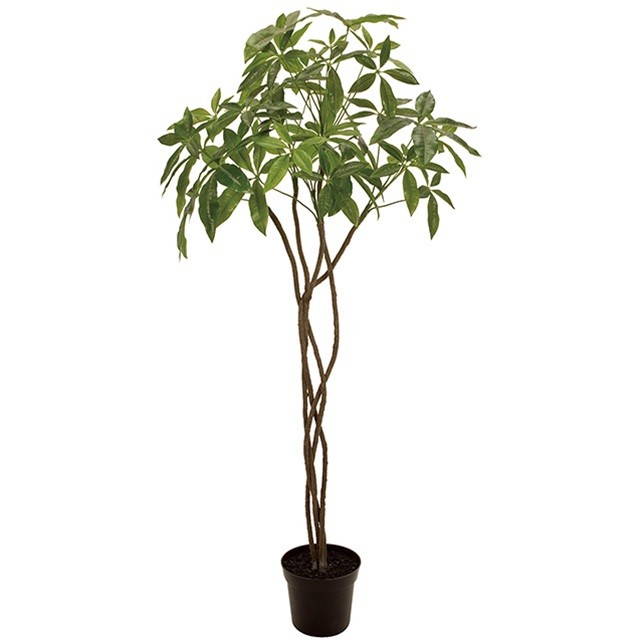 パキラ ツイスト 造花 インテリアグリーン 観葉樹木 Tdlfg 代引決済不可 人工観葉植物 フェイクグリーン 人工樹木 インテリア おしゃれ 店舗装飾 ディスプレイ 室内装飾 飾り付け 装飾 飾り 大型 鉢物 開店祝い お祝い Consyrsa Com