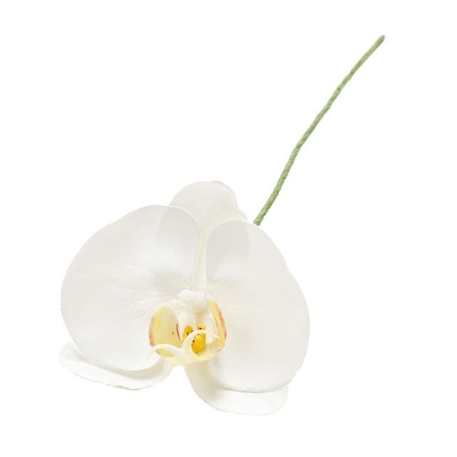 アミュゼファレノ ＃１　ＷＨＩＴＥ（12本入り）造花 フラワー 胡蝶蘭 ファレノ [TDLFW090184-001] 代引決済不可