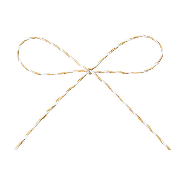 パピエール 夫婦 大凡 カフェオレ メダル ラッピング 荷拵え素材 ベーシック Tdlrt 124 ラッピング働き リボン 吊りひも テープ ギフトラピング機具 カフェオレ 号数 通り路からだ付き 包装資材 贈りもの用 ドレスアップ絵様 Doorswindowsstairs Co Uk